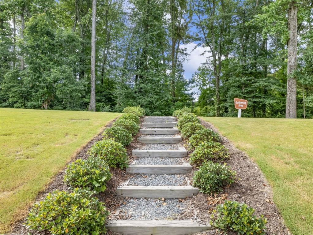 3790 Salvia Drive