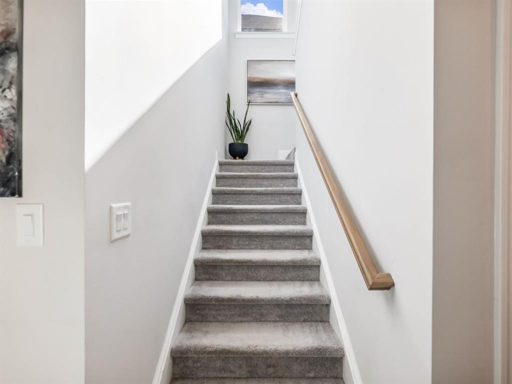 3790 Salvia Drive