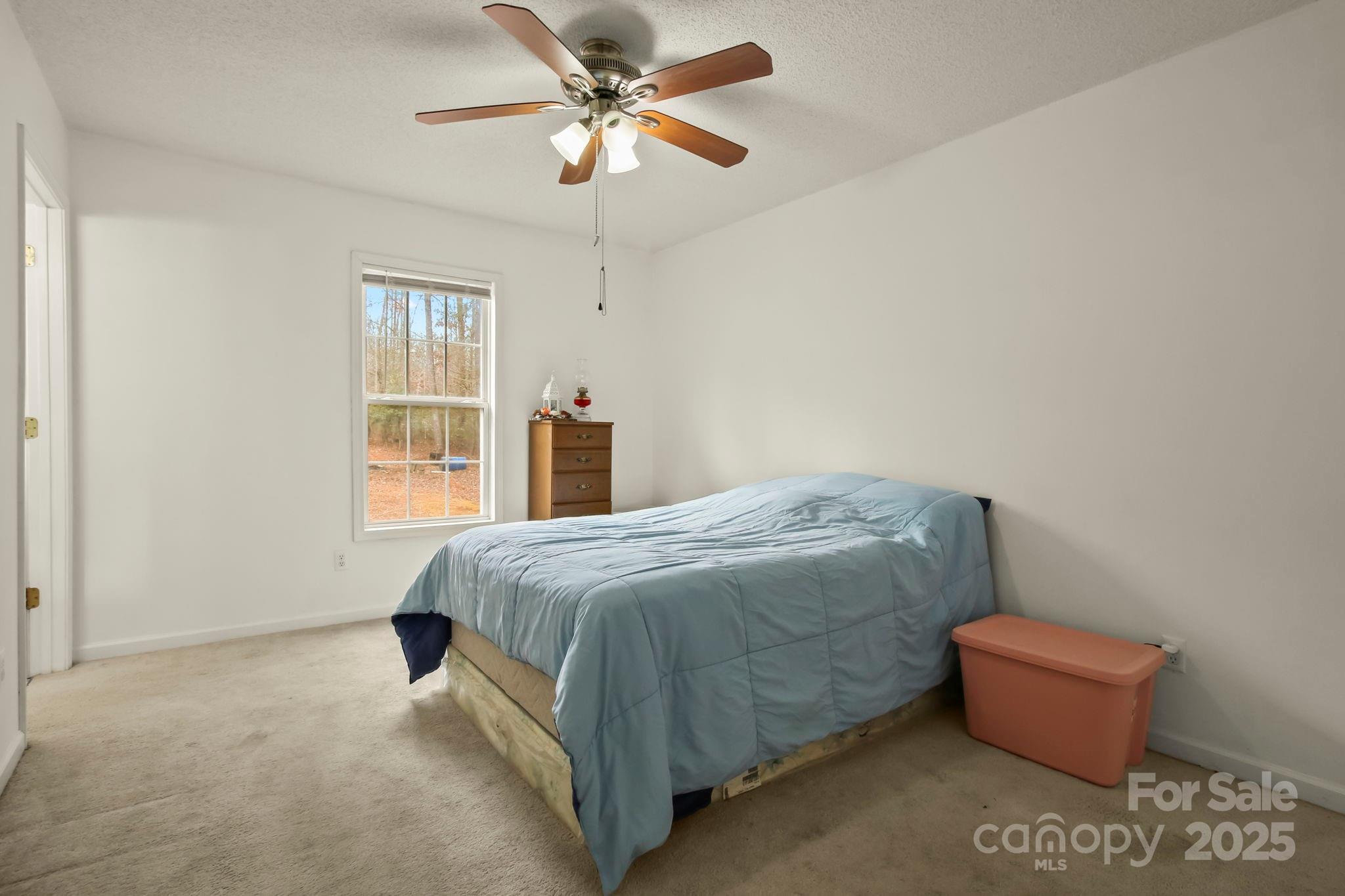 2473 Wilderness Lane