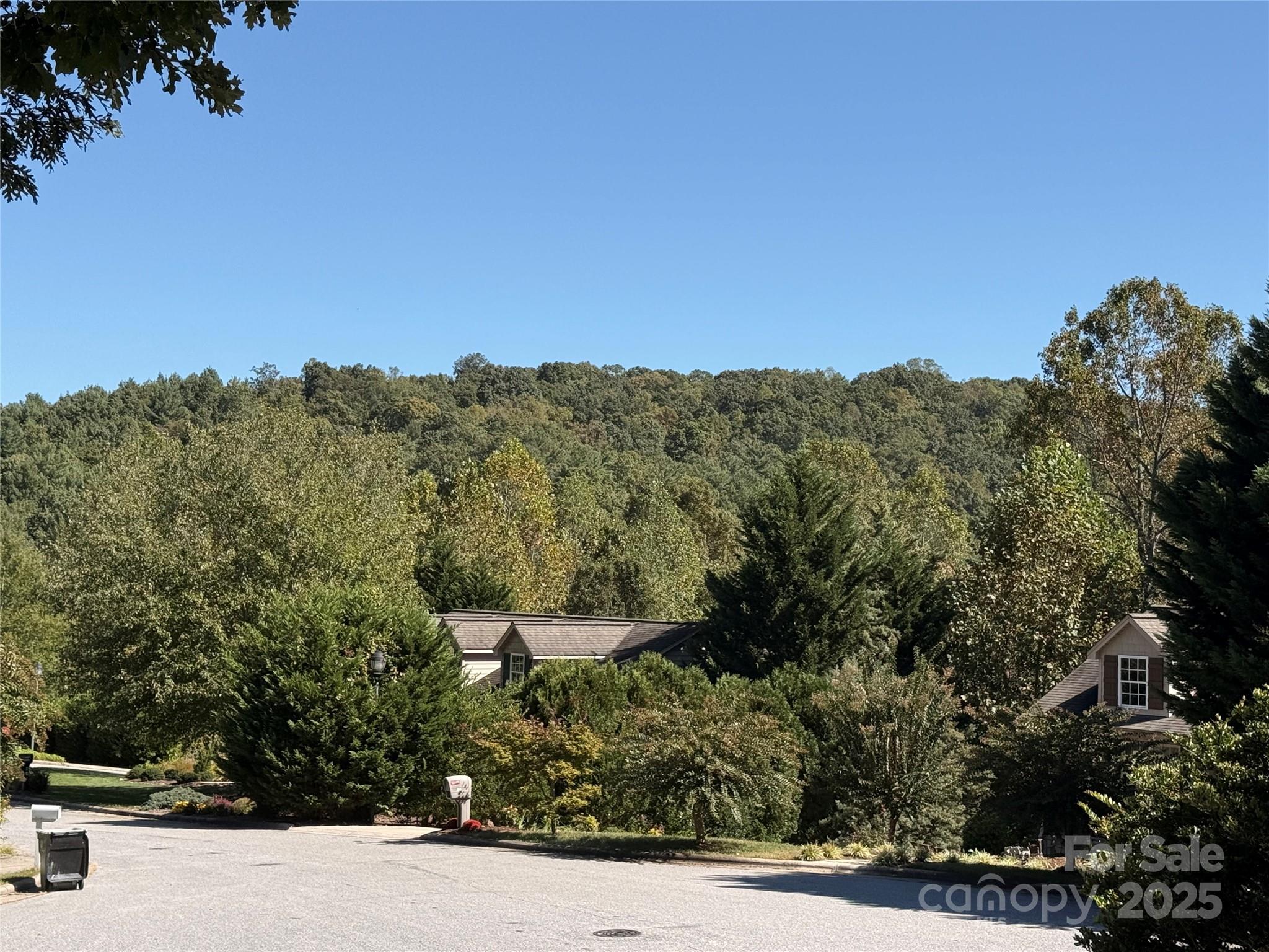 210 Forest Brook Place