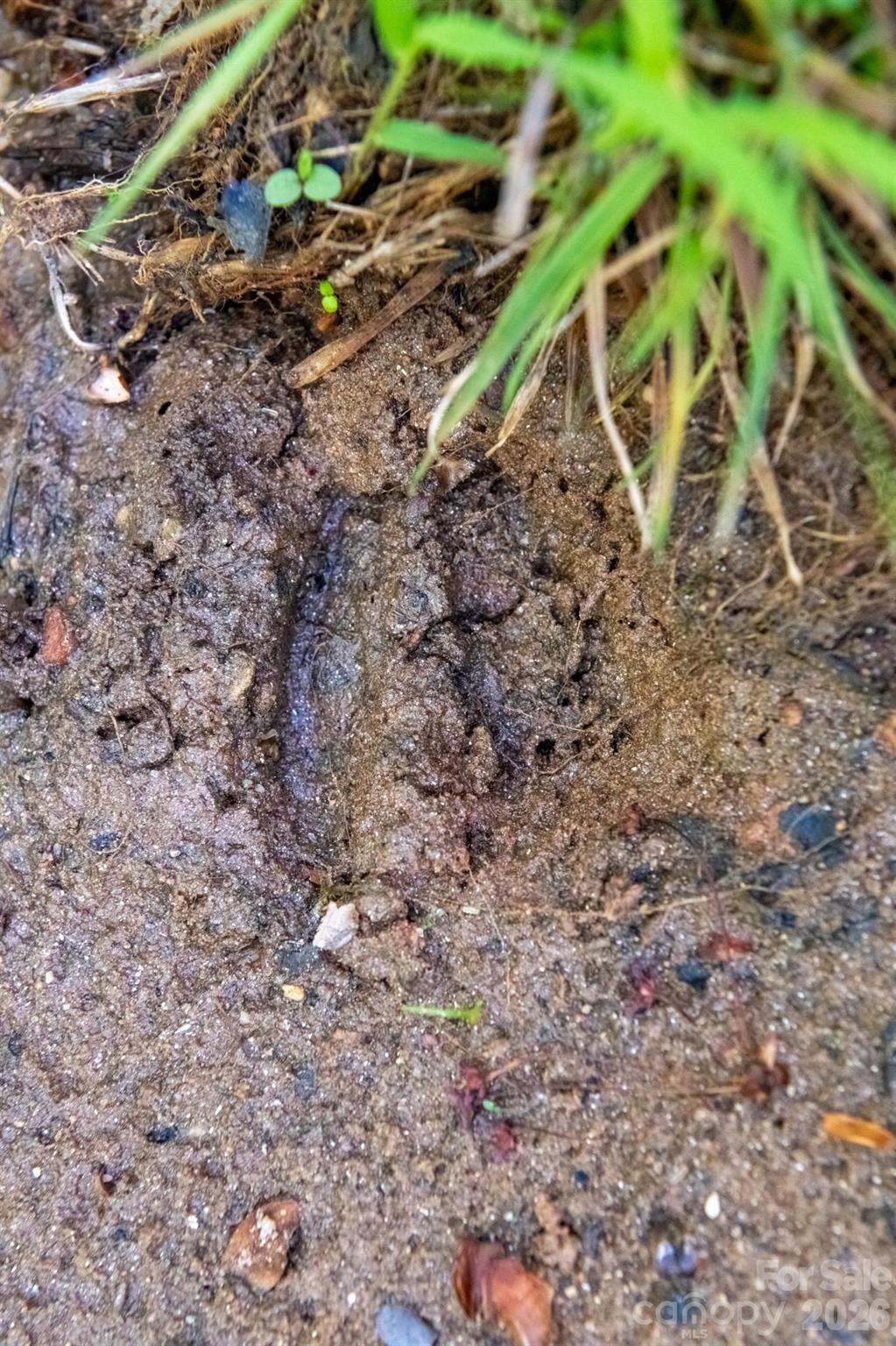 2324 Alfred Hartley Road