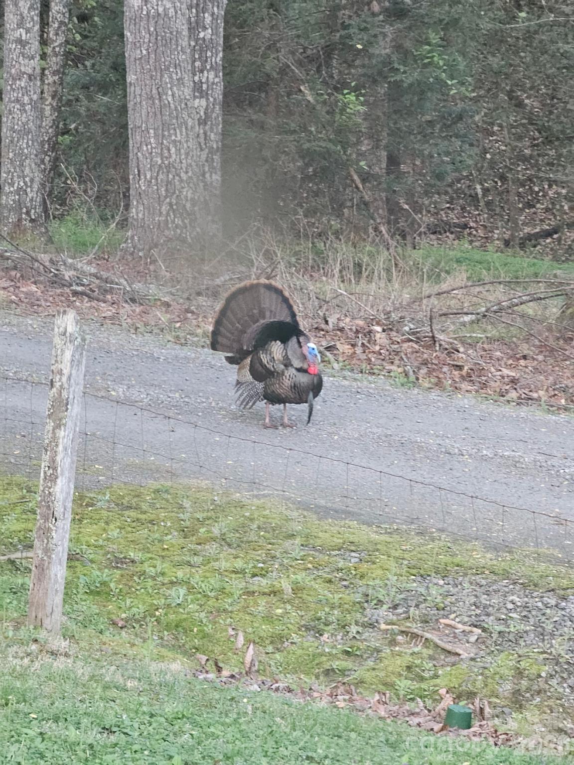 3441 Spencer Heights Place