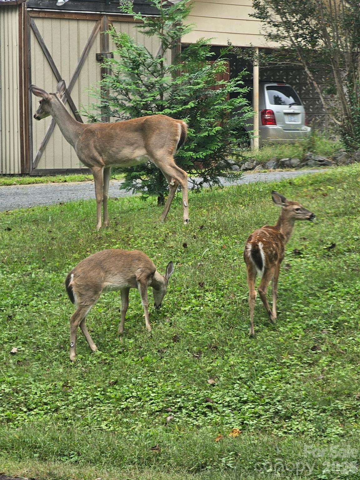 3441 Spencer Heights Place