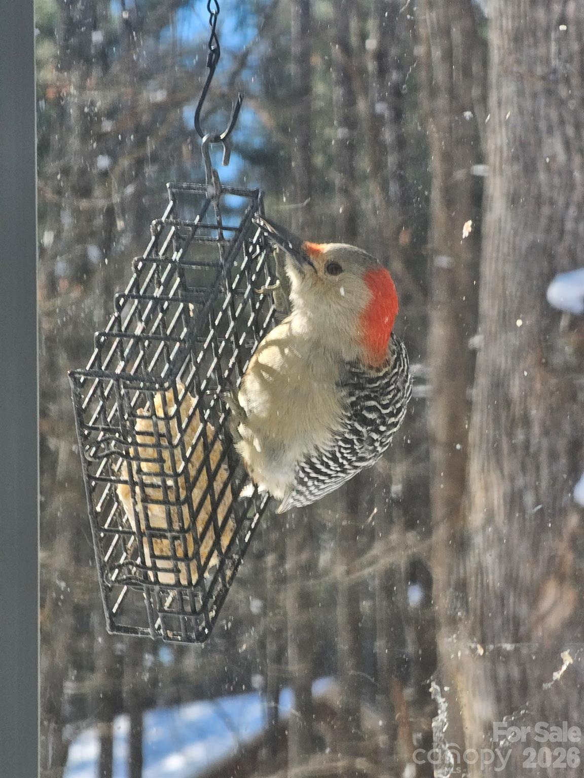 3441 Spencer Heights Place