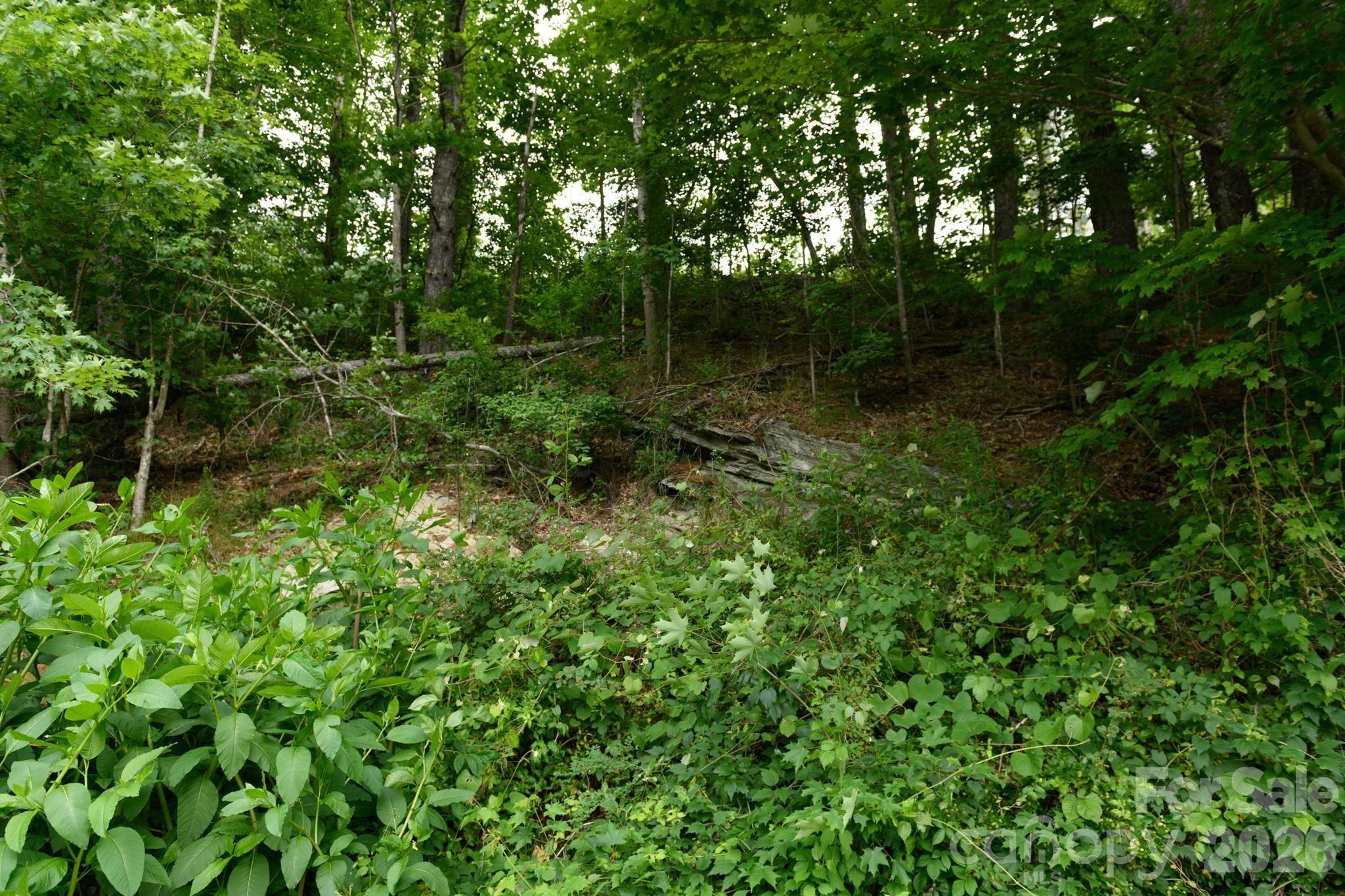 TBD Sycamore Road