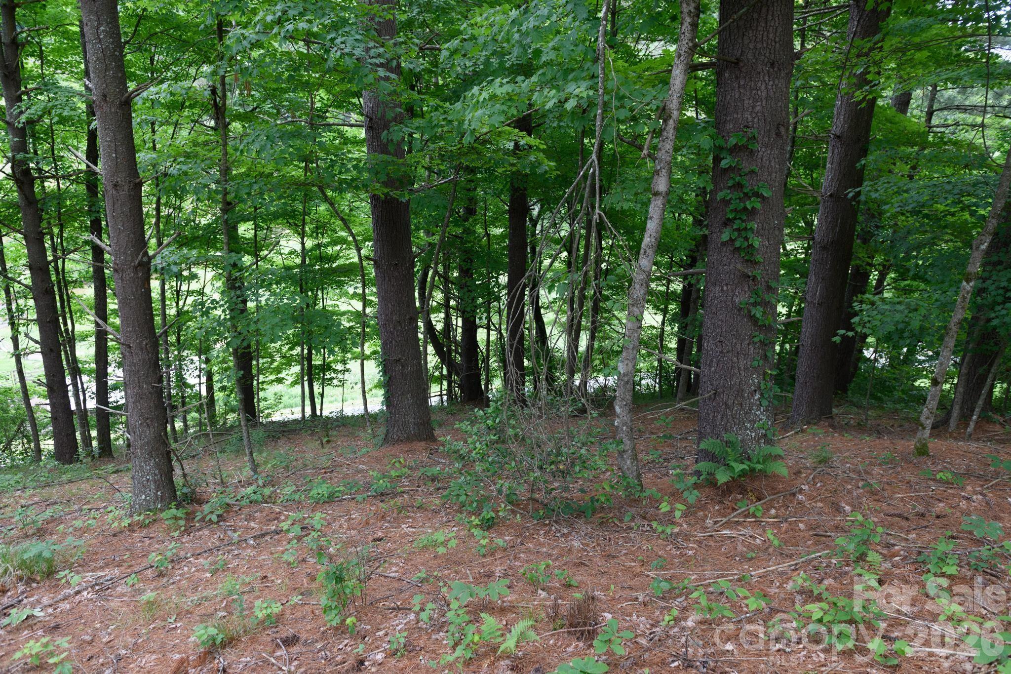 TBD Sycamore Road