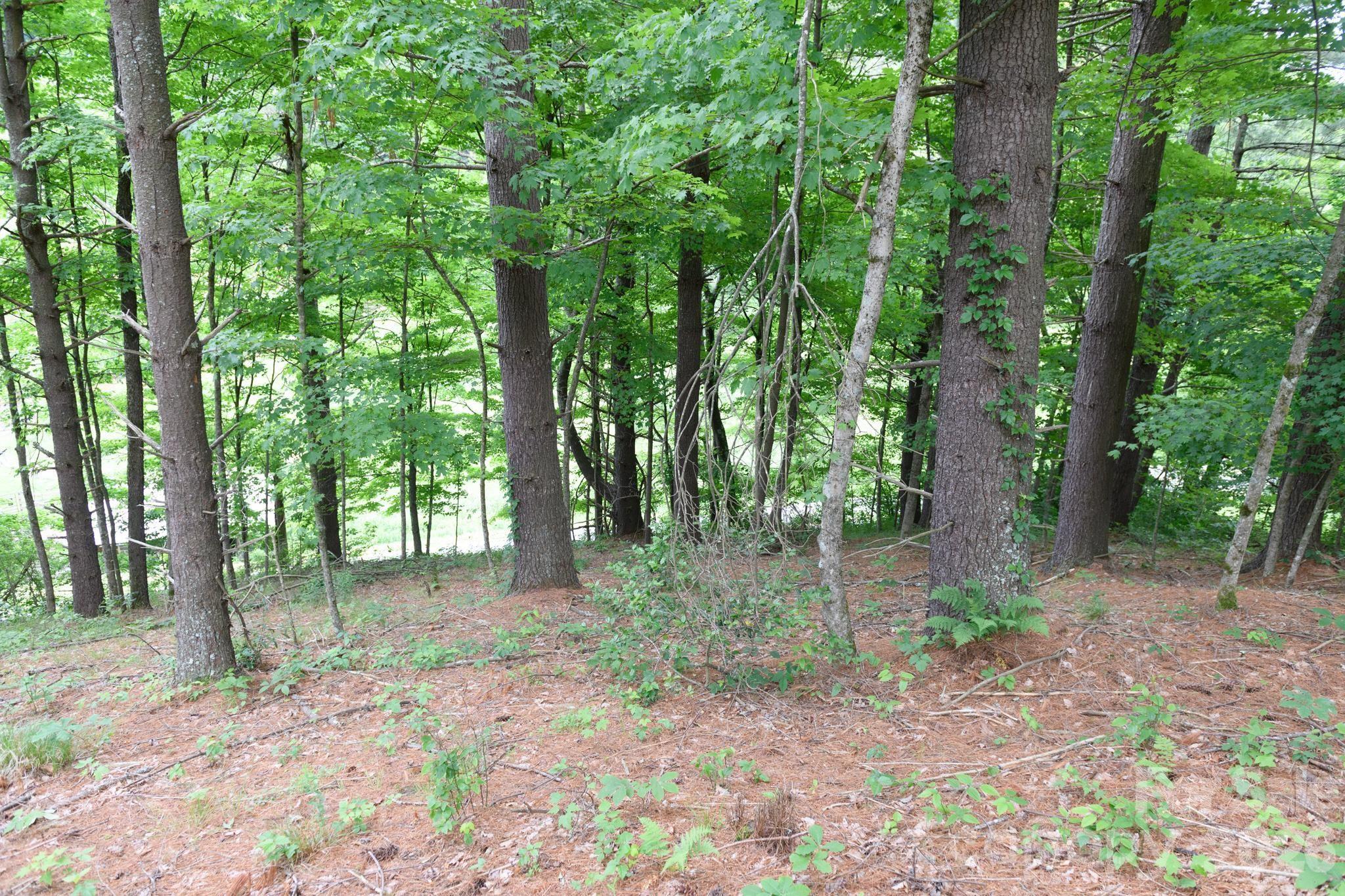 TBD Sycamore Road