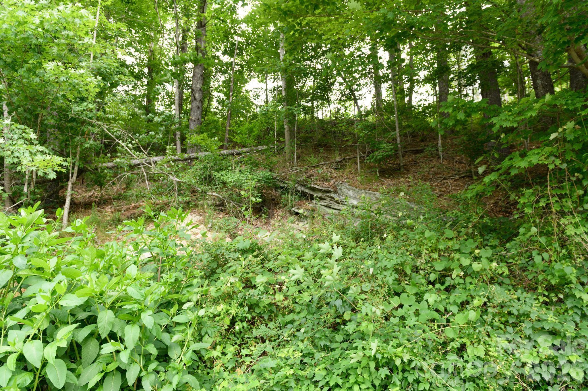 TBD Sycamore Road