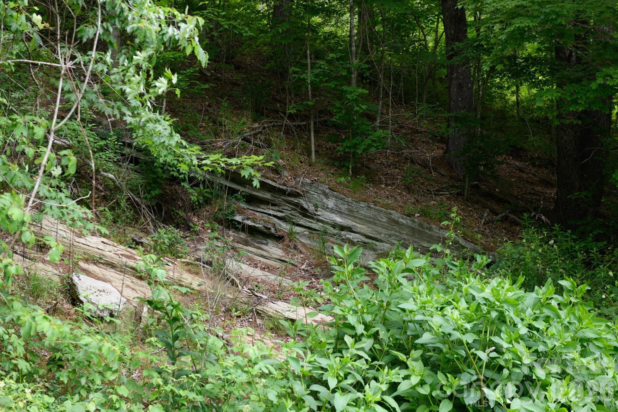 TBD Sycamore Road