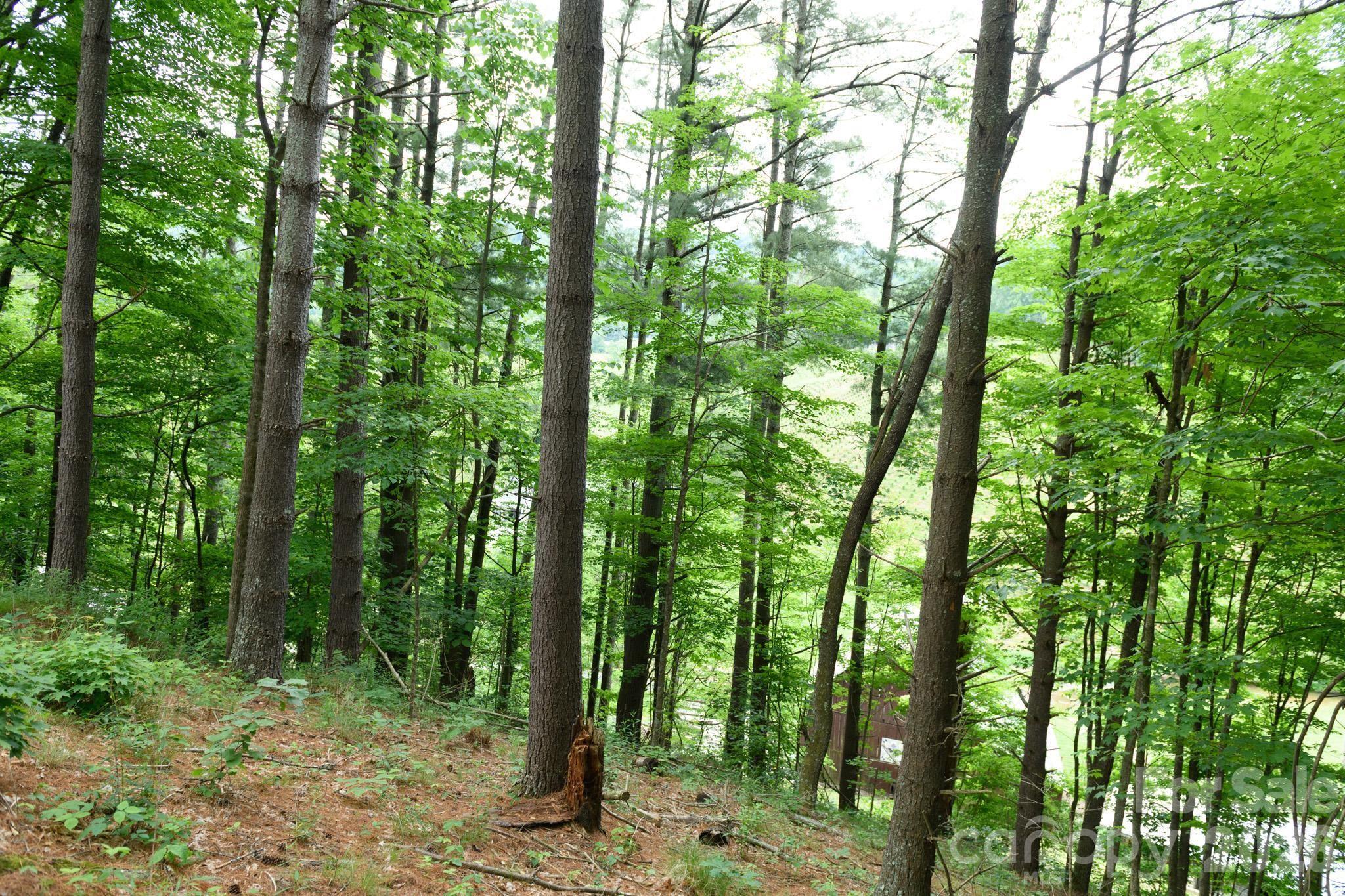 TBD Sycamore Road