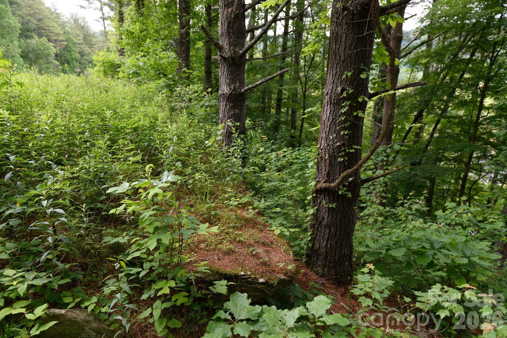 TBD Sycamore Road