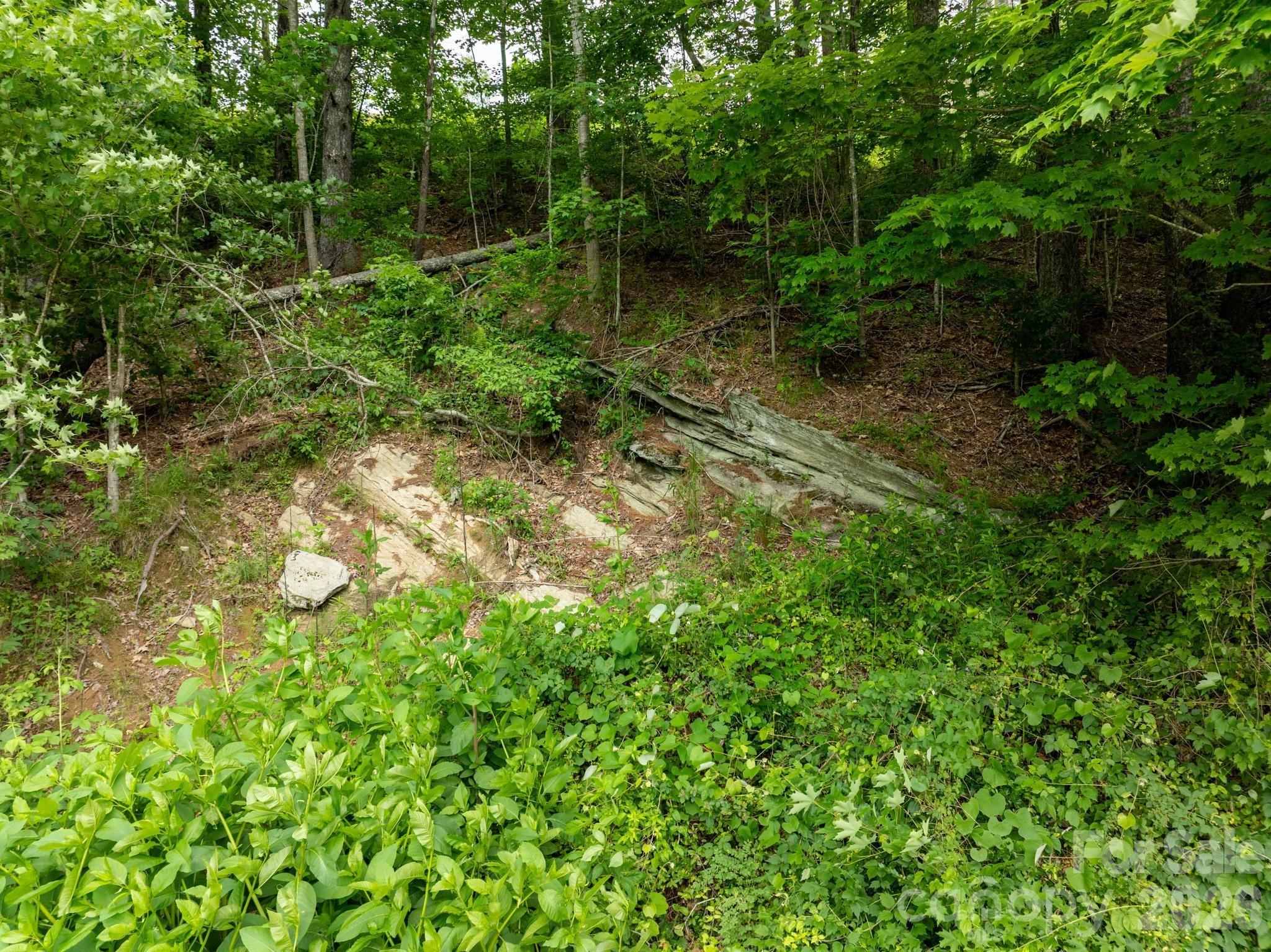 TBD Sycamore Road