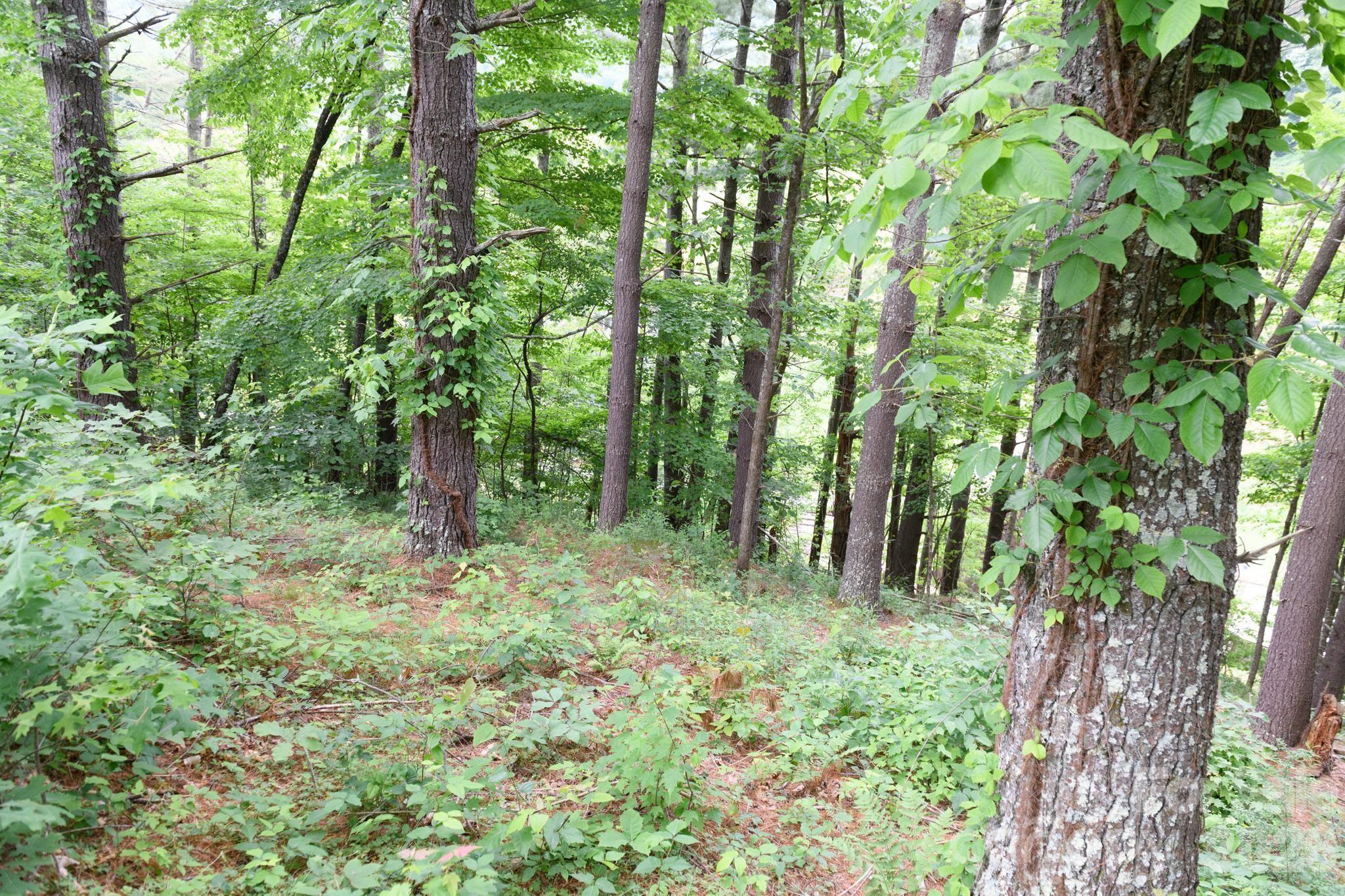TBD Sycamore Road