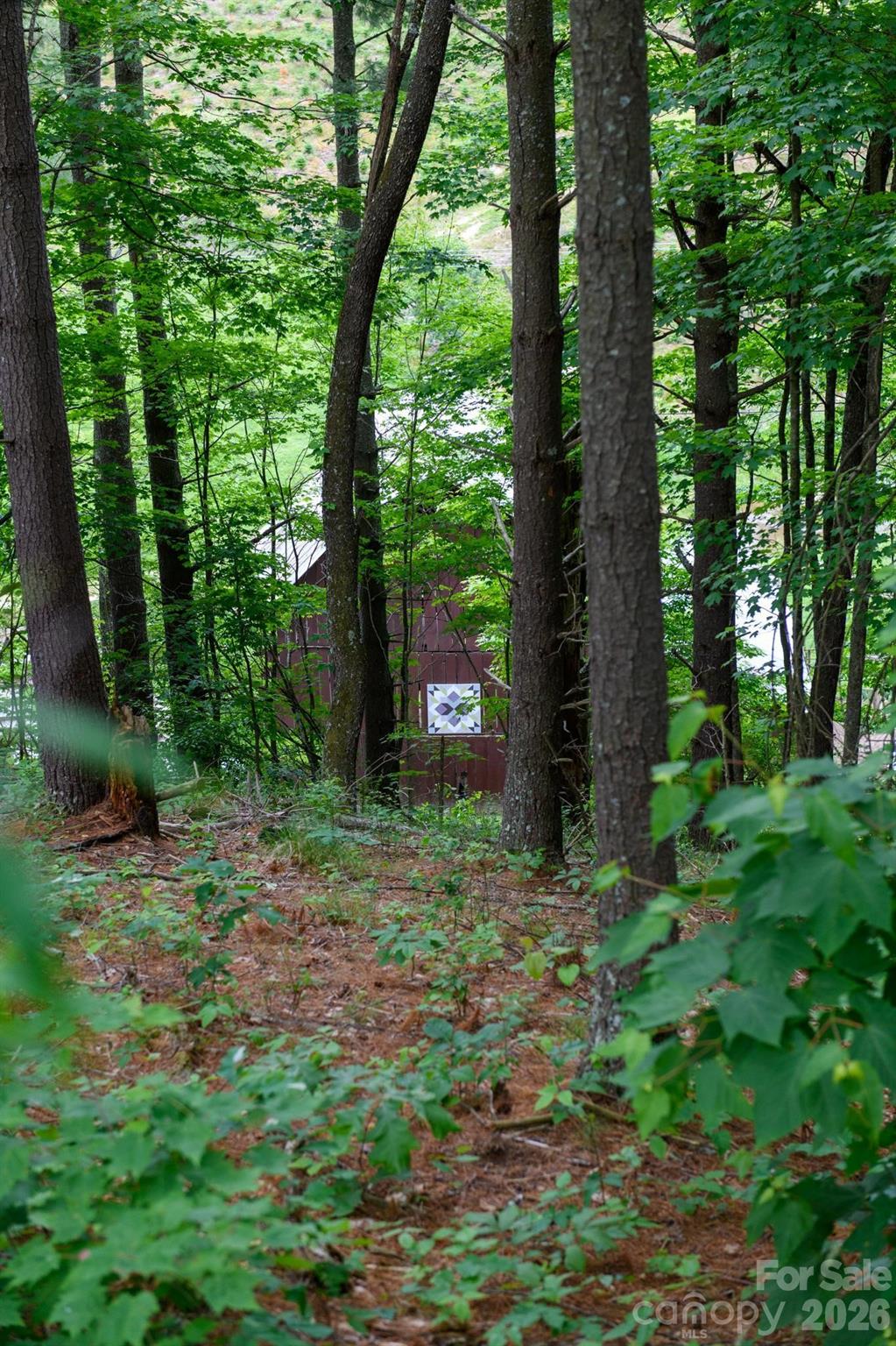 TBD Sycamore Road