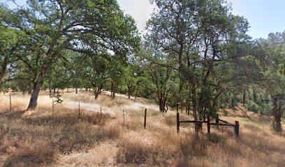 4698 Chuckwagon Drive
