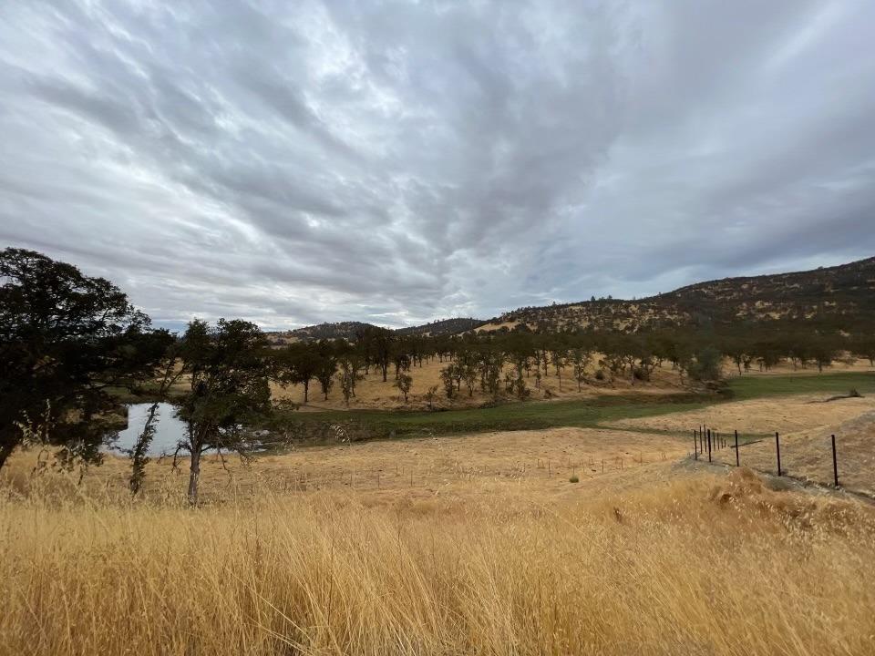 175 Quail Creek Terrace