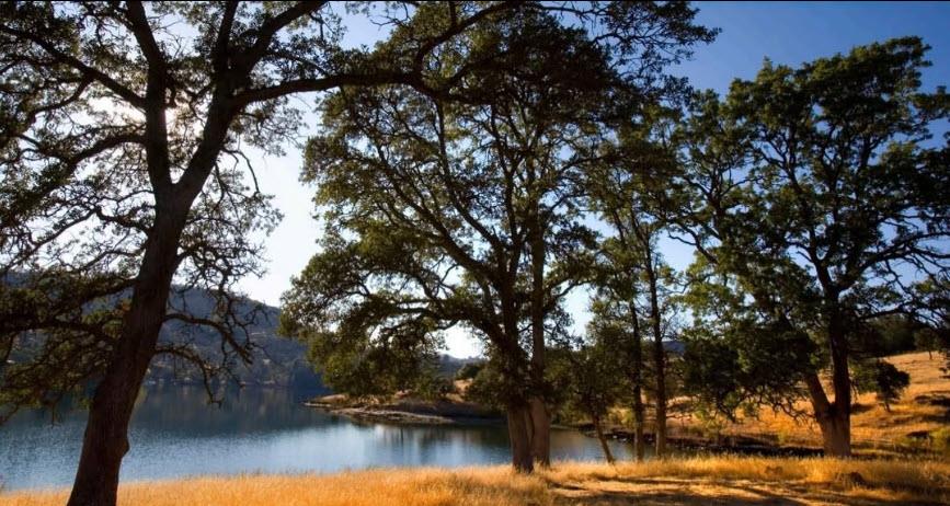 200 Quail Creek Drive