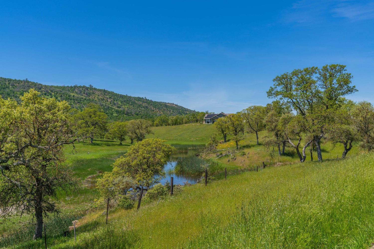 357 Quail Creek Drive