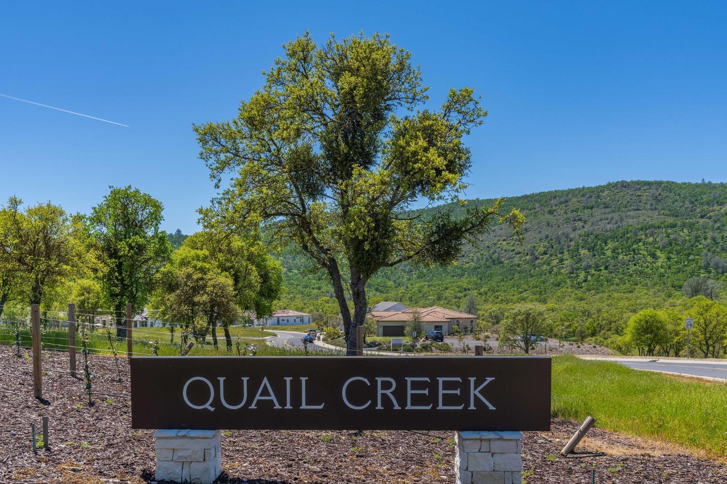 357 Quail Creek Drive