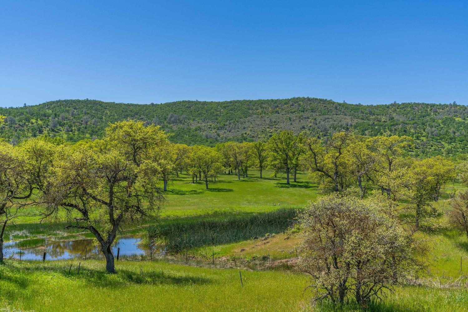 357 Quail Creek Drive