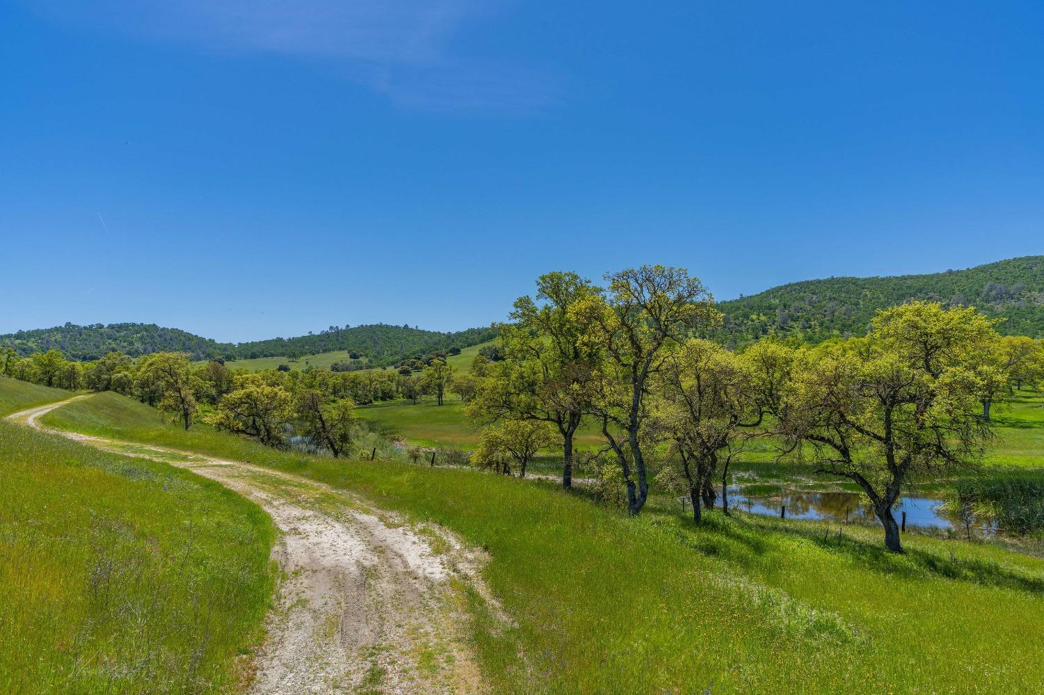 357 Quail Creek Drive