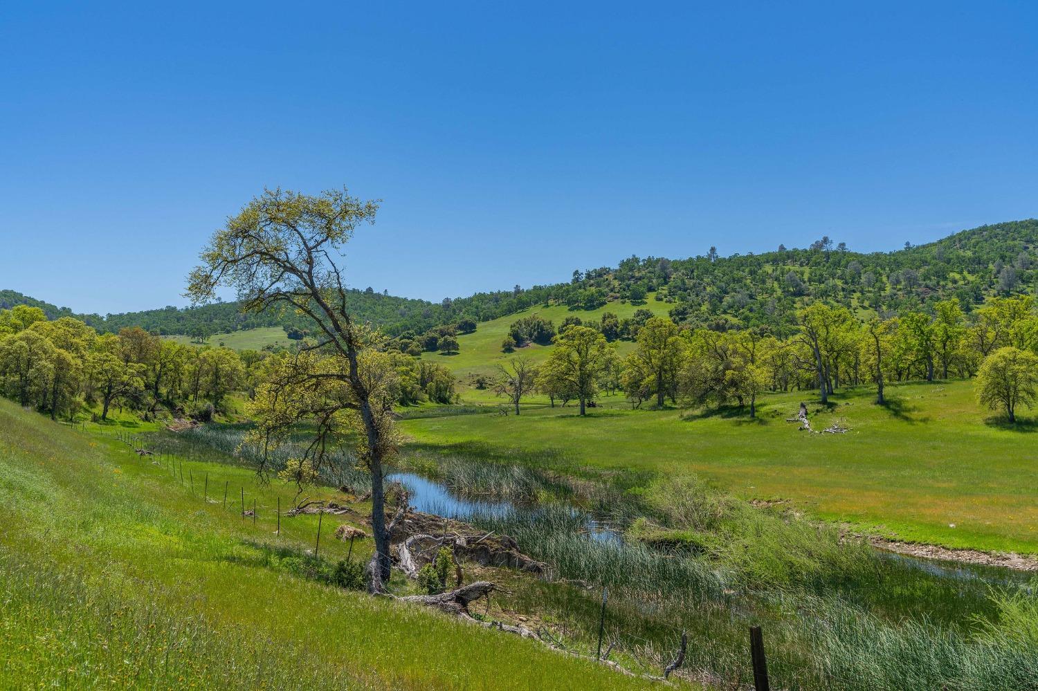 357 Quail Creek Drive