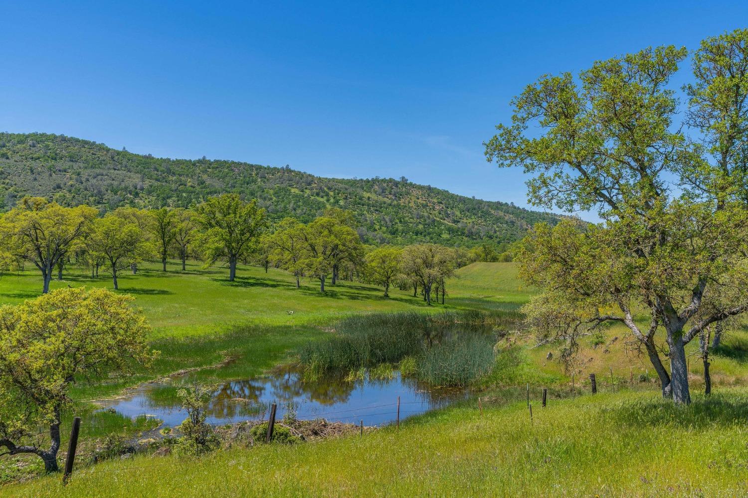 357 Quail Creek Drive