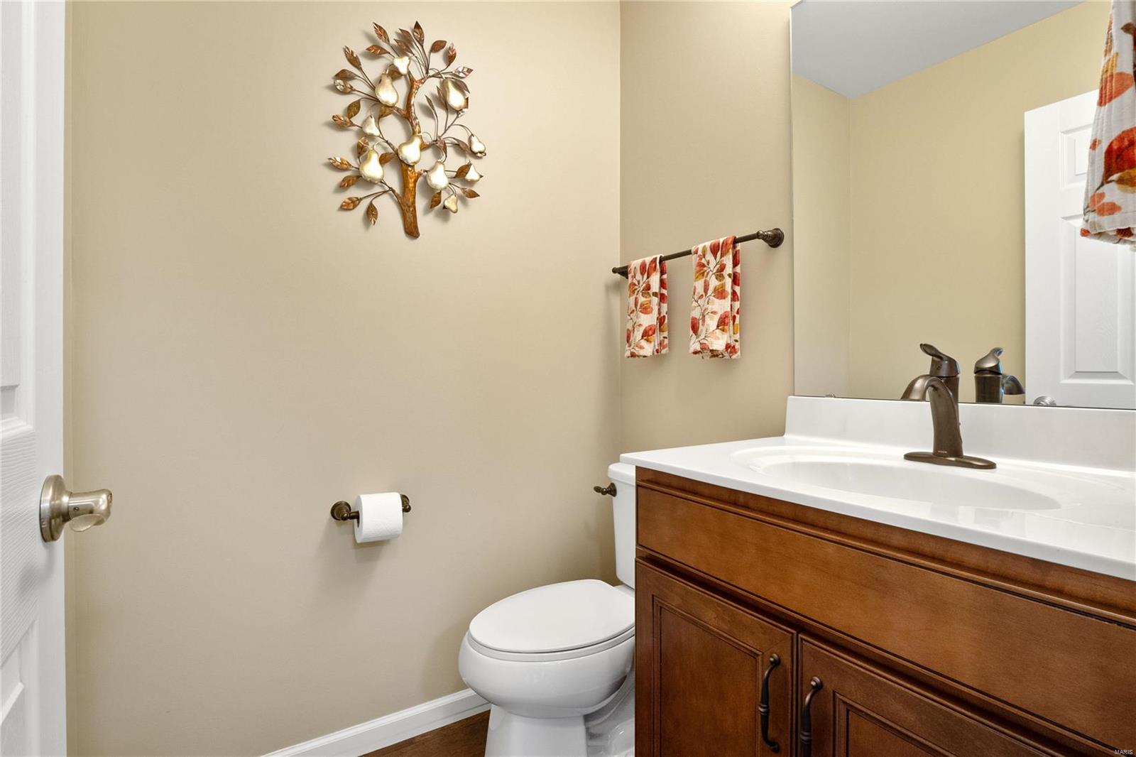 16165 Amber Vista Drive