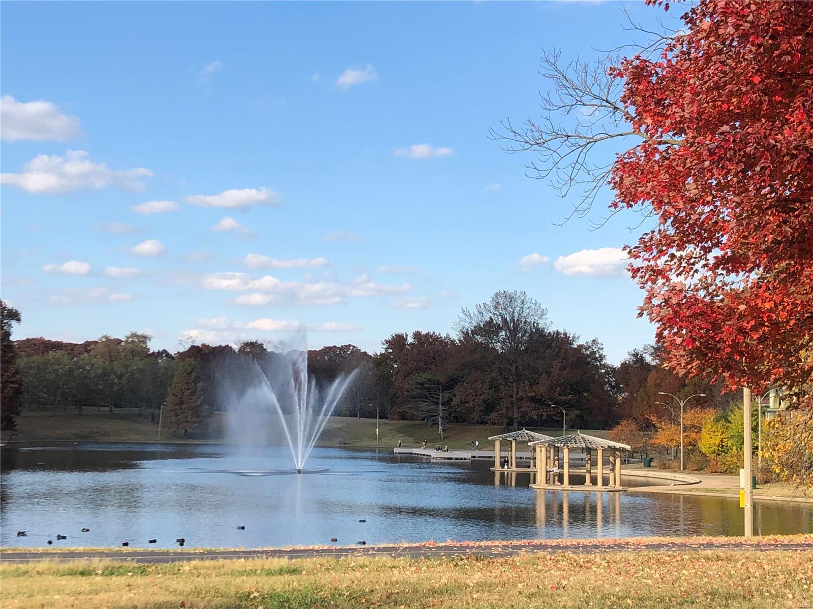 6114 Arendes Drive Drive