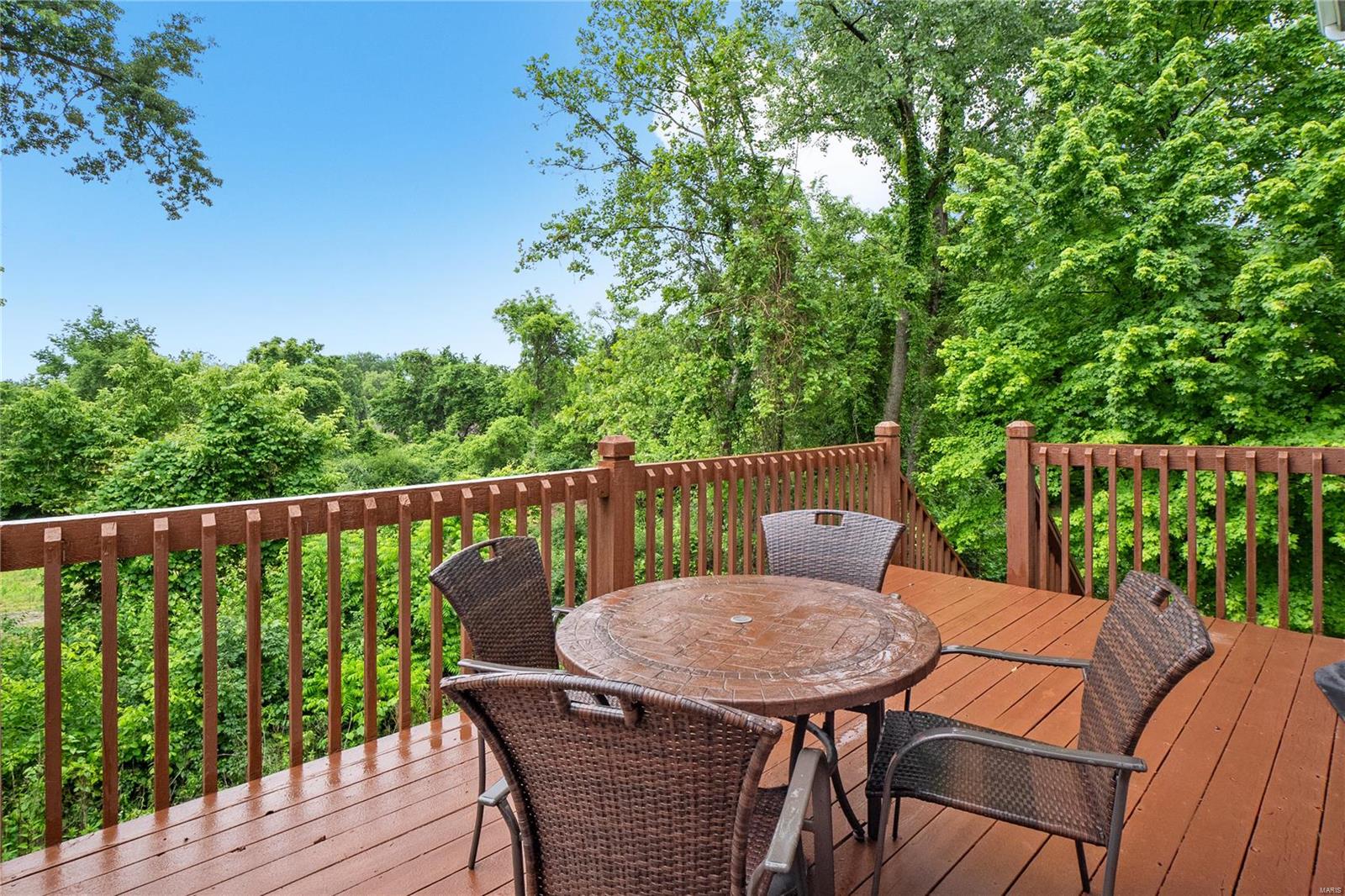 4100 Bridgeton Meadows Court