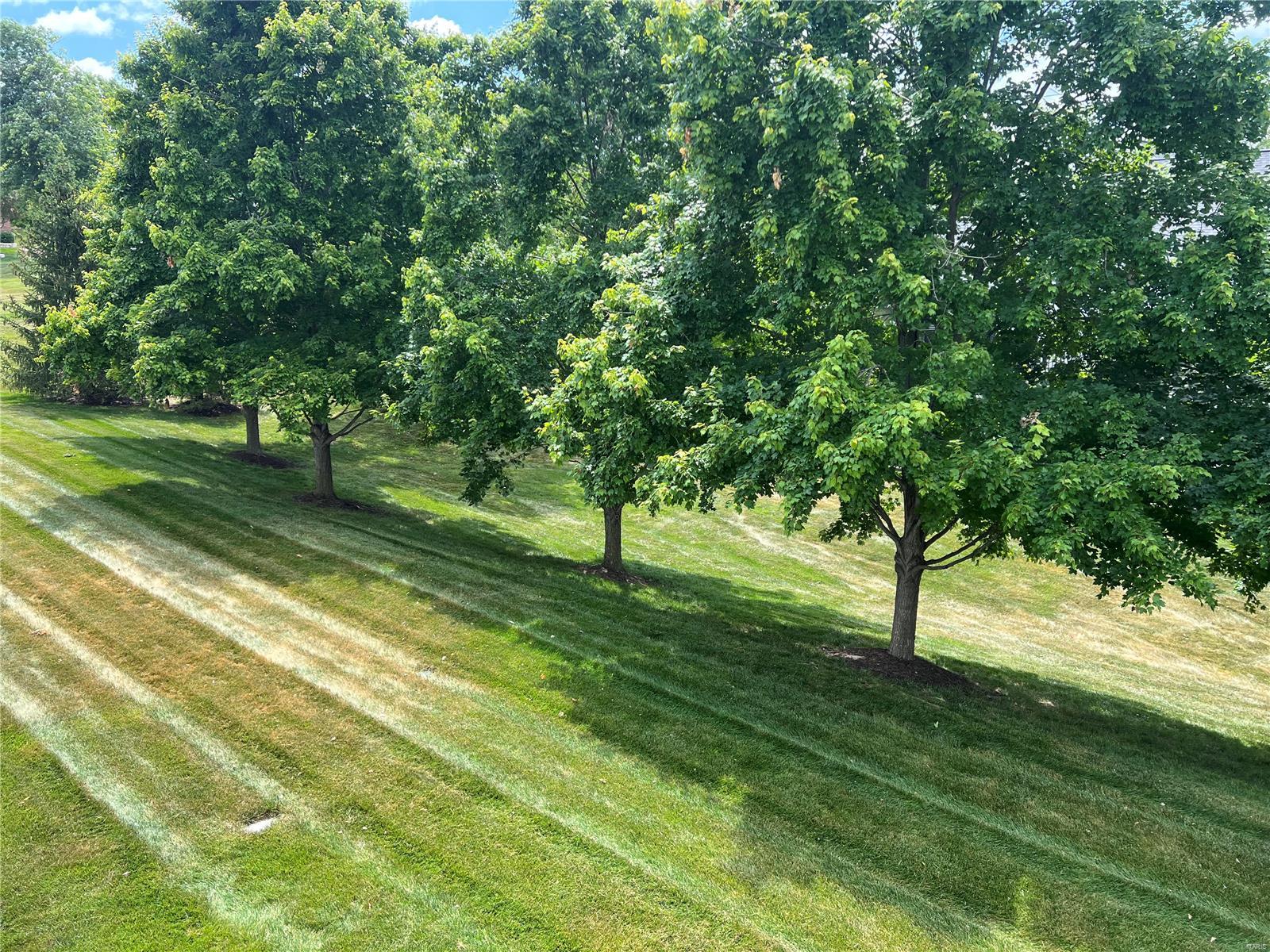 509 Dunmore Place Court