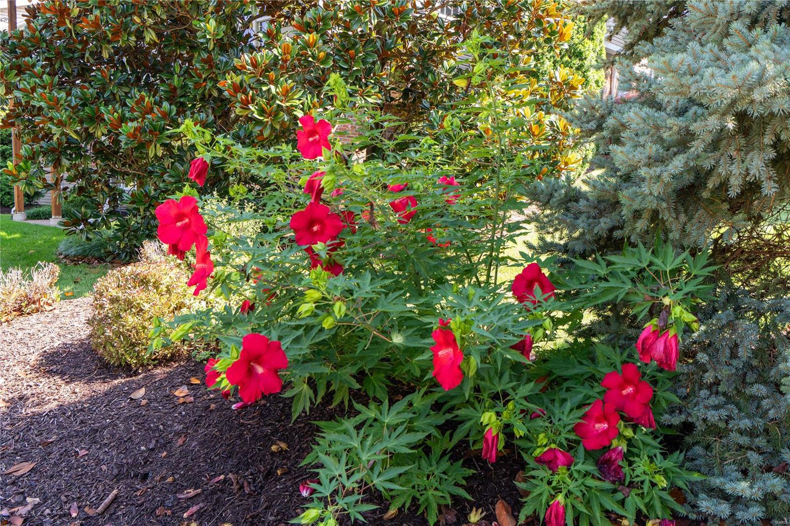 977 Chesterfield Villas Circle