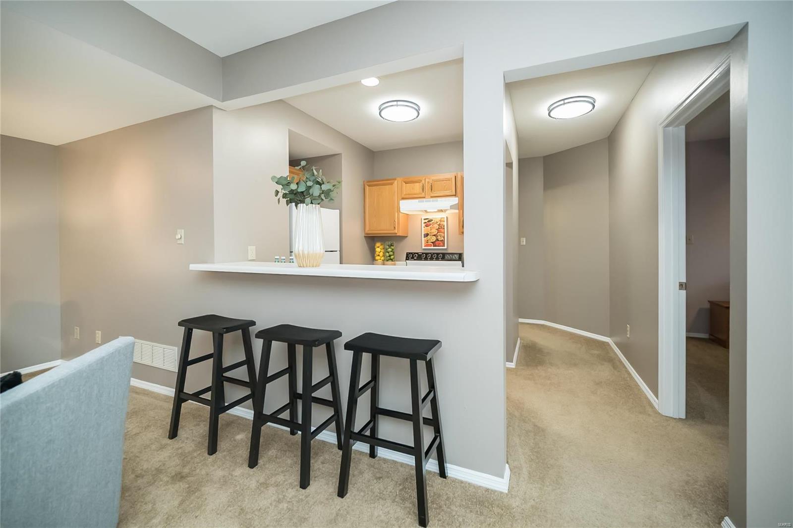 1229 Bluffview Ridge Drive