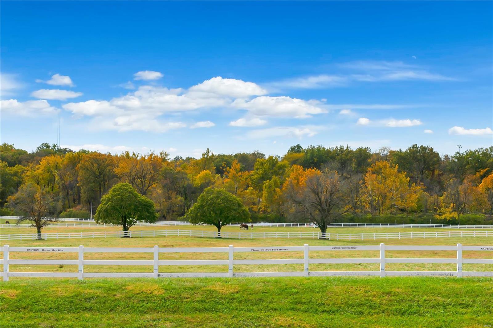 7941 Royal Arms Court