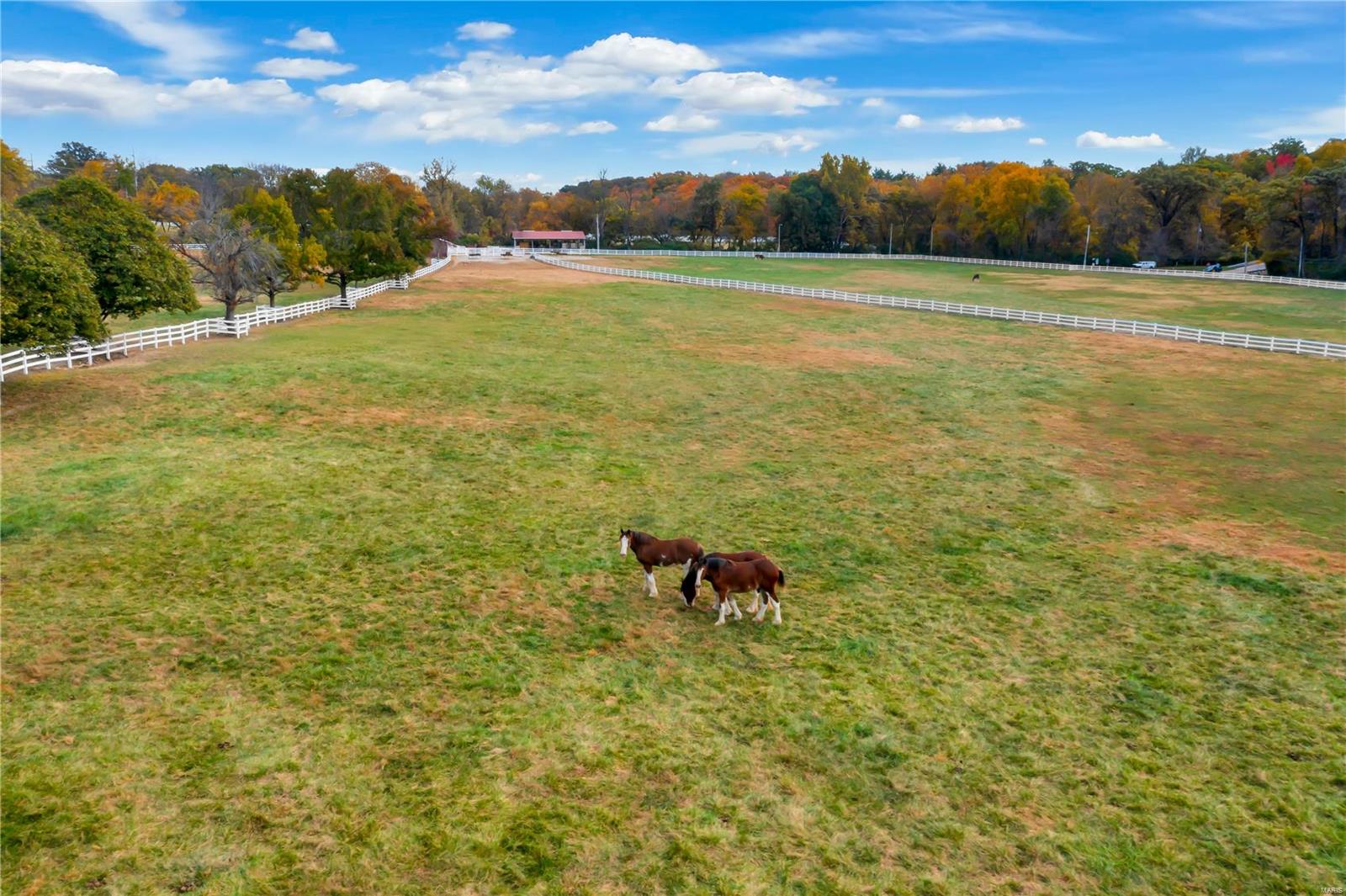 7941 Royal Arms Court