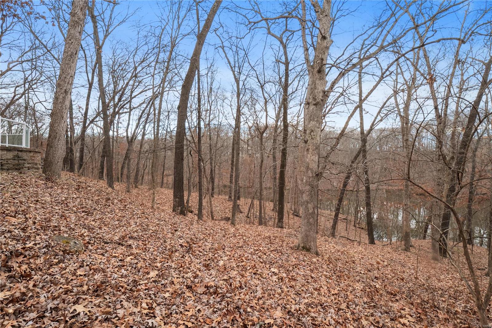 16484 Horseshoe Ridge Road