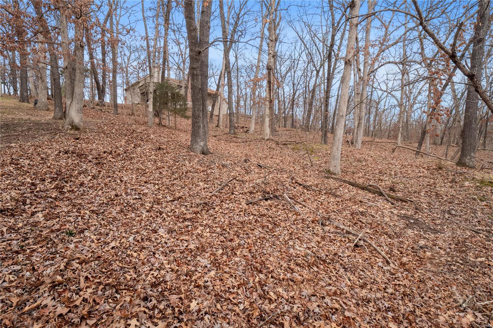 16484 Horseshoe Ridge Road