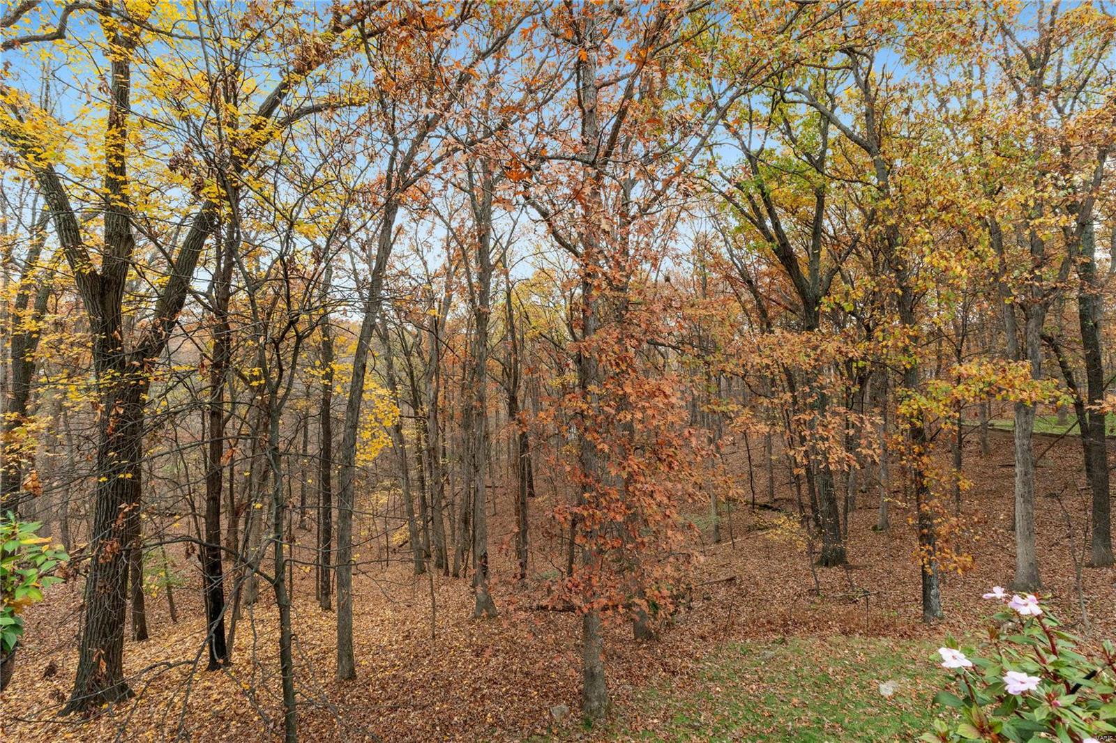 942 Sheffield Forest Court