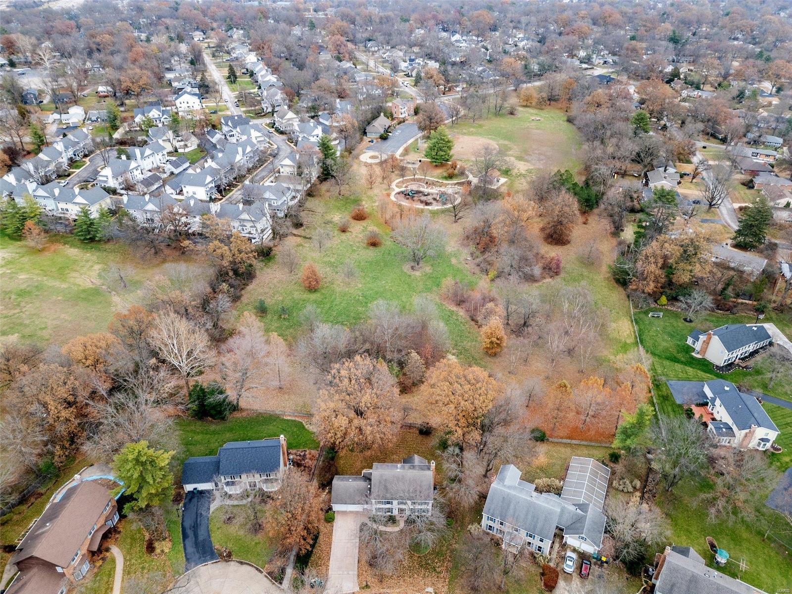 406 Webster Forest Drive