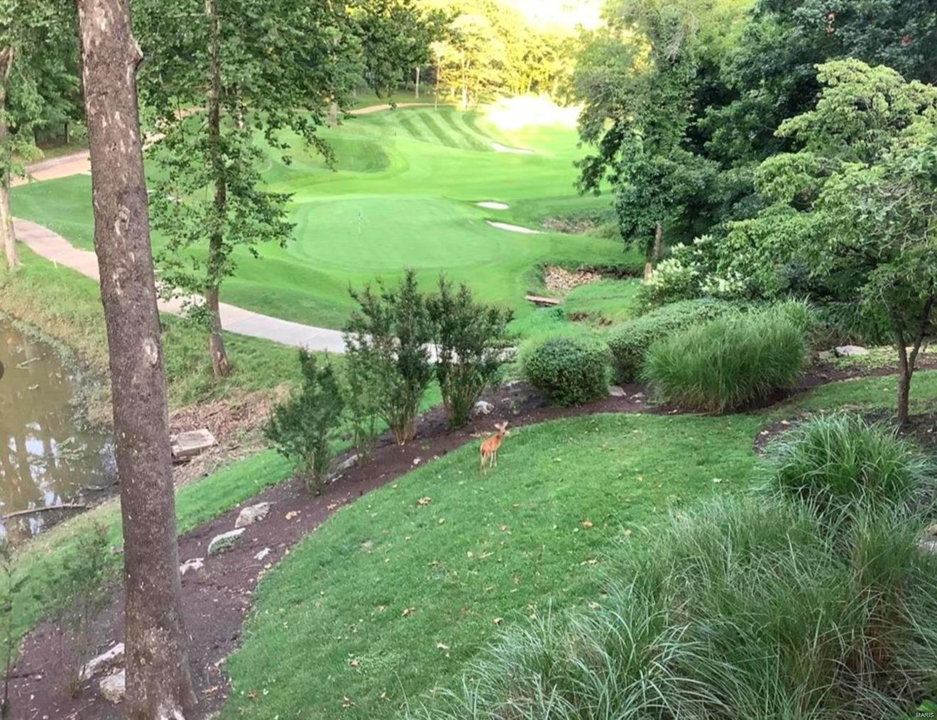 235 Saint Georges Drive