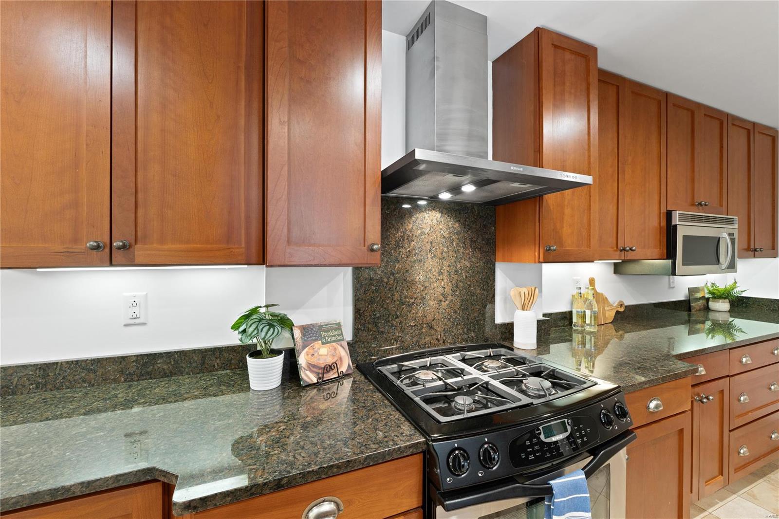 125 E Clinton Place Unit: 1A