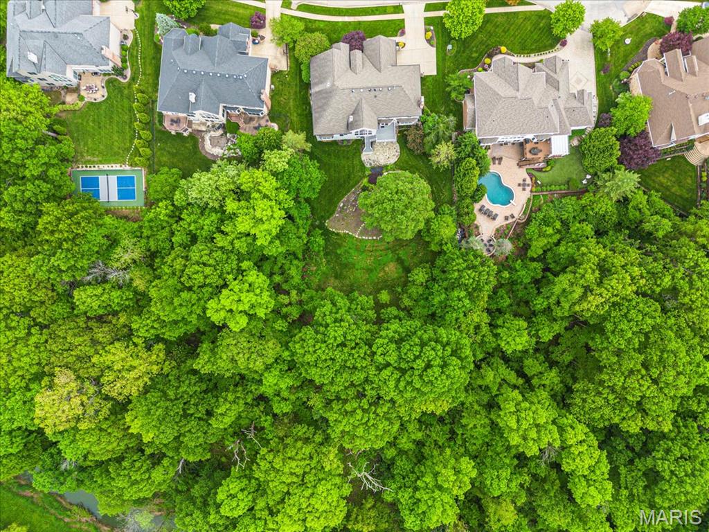 16842 Eagle Bluff Court