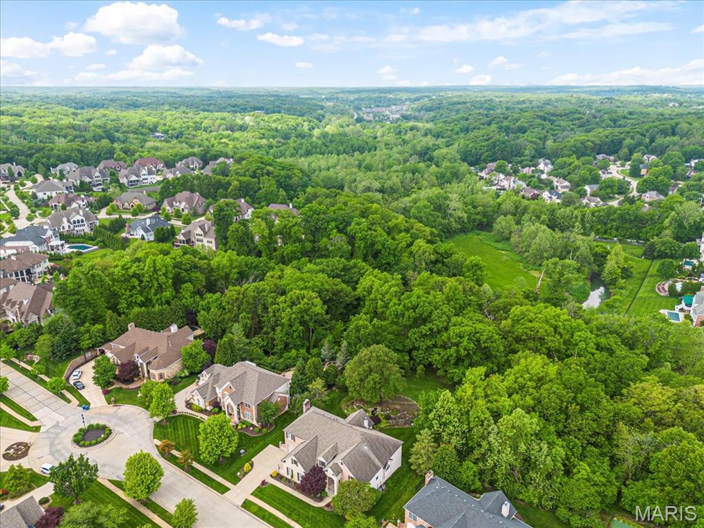 16842 Eagle Bluff Court