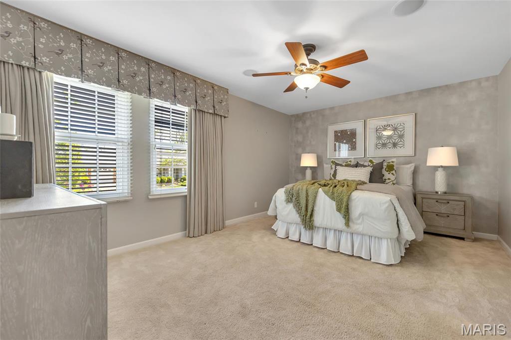 14532 Coeur Dalene Court