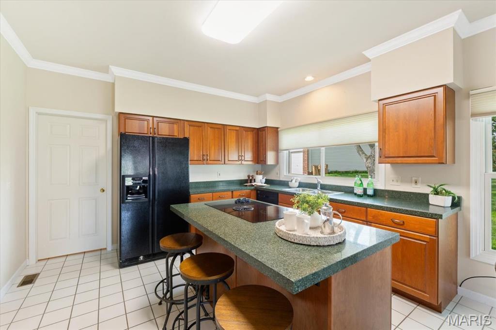 15509 Amber Meadows Court