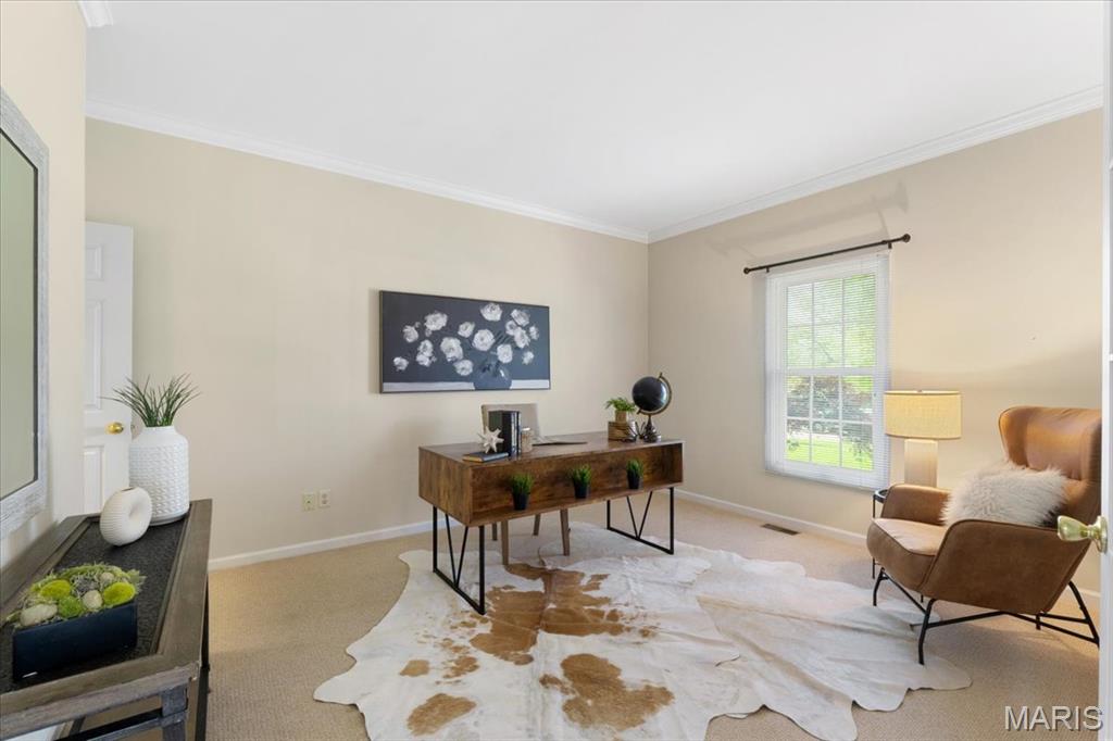 15509 Amber Meadows Court