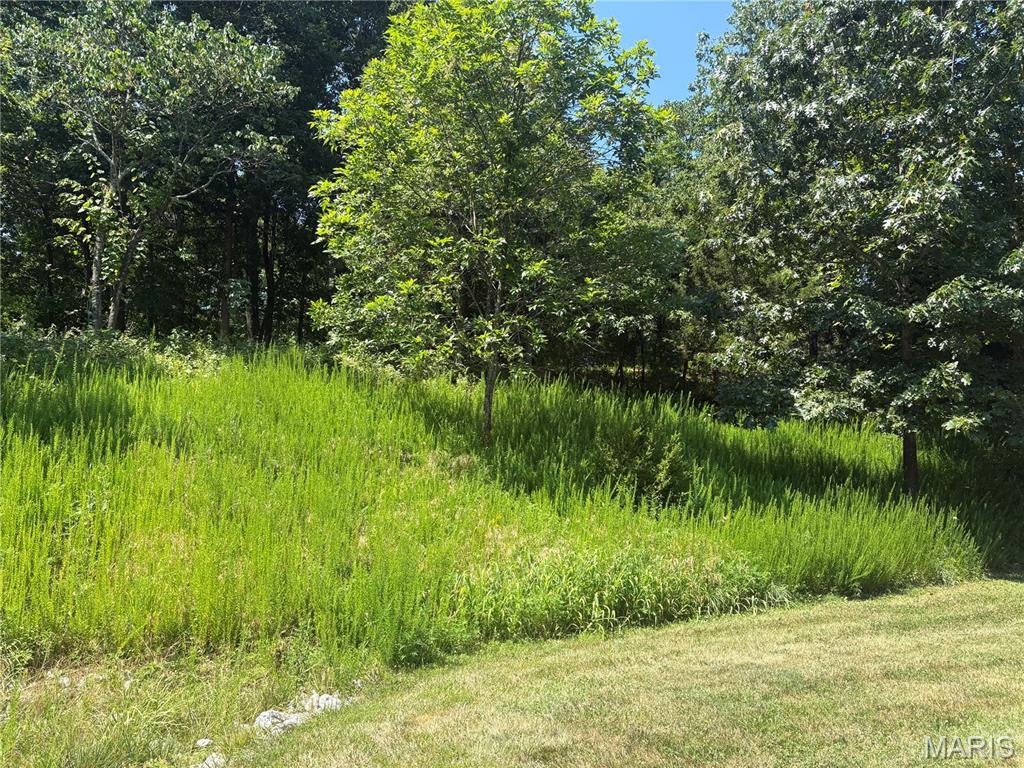 19382 Babler Forest Road