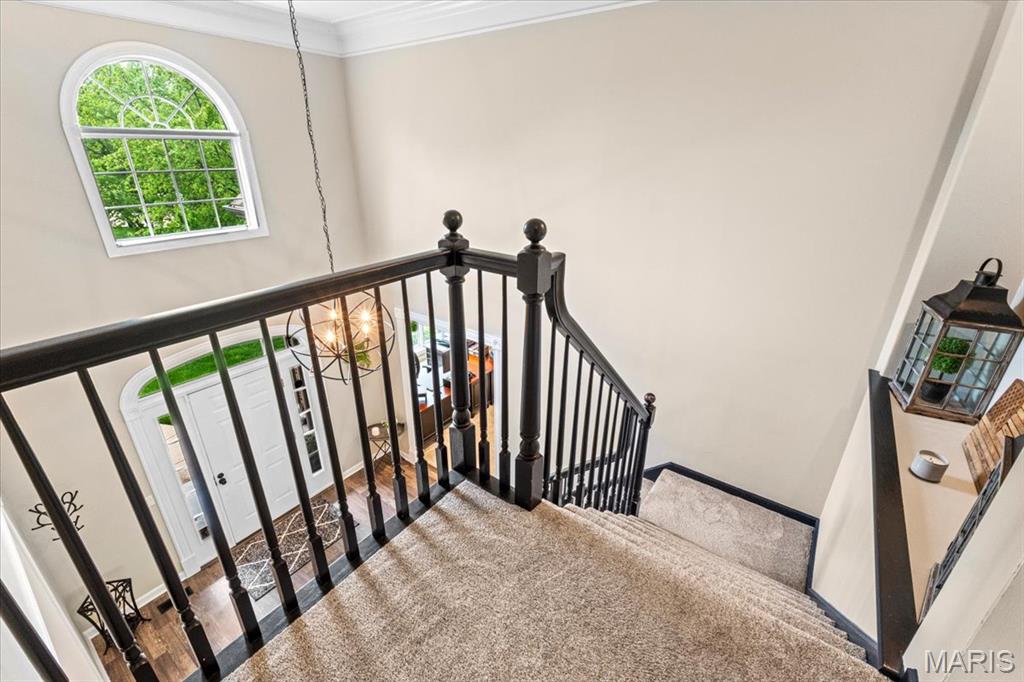 17903 White Robin Court