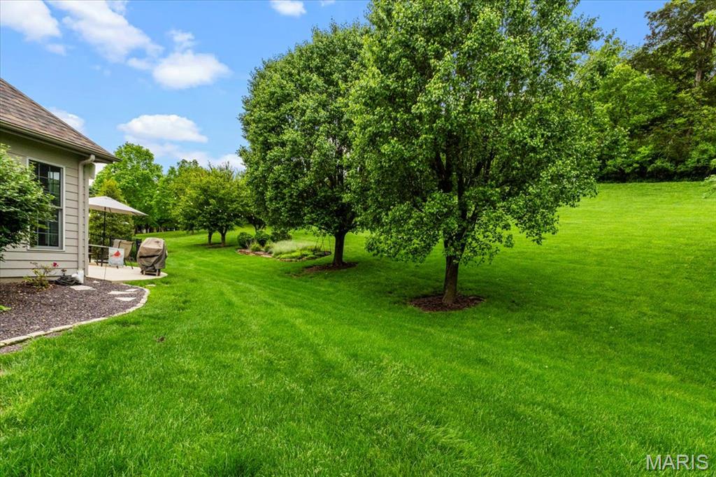 17903 White Robin Court