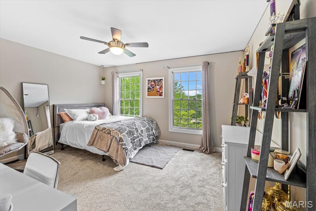 17903 White Robin Court